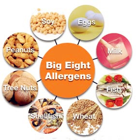 The Big 8 Allergens