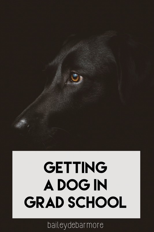 Getting a Dog in Grad School from Bailey DeBarmore
