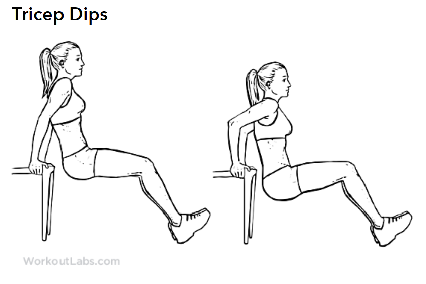 Tricep Bench Dips 